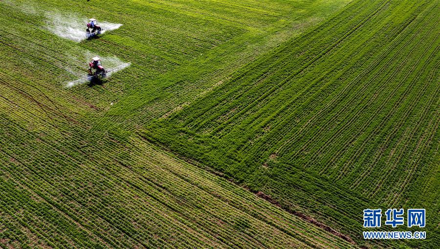 (新華全媒頭條·圖文互動)(13)磨難壓不垮 奮起正當時——習近平總書記在統(tǒng)籌推進新冠肺炎疫情防控和經(jīng)濟社會發(fā)展工作部署會議上的重要講話振奮人心凝聚力量