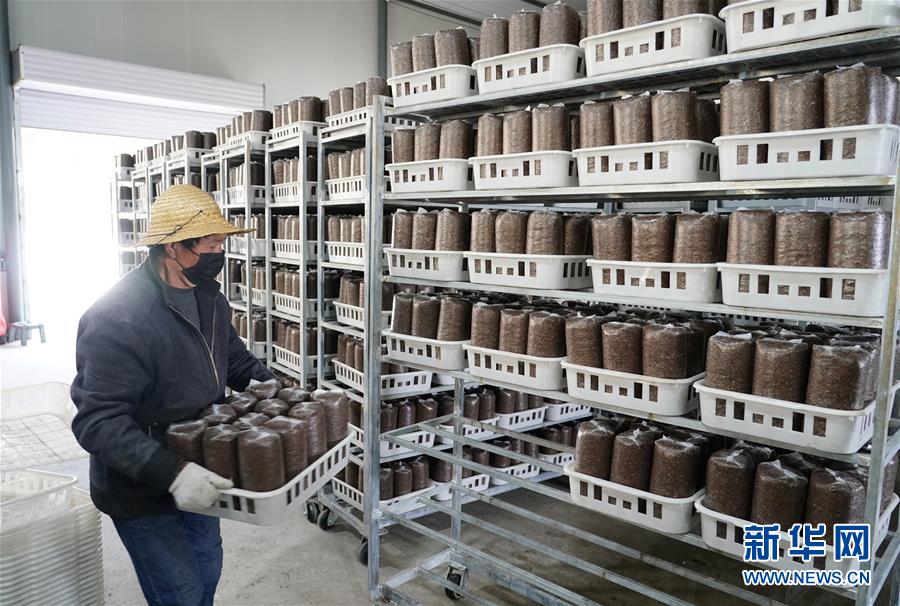 （決戰(zhàn)決勝脫貧攻堅(jiān)&middot;圖文互動(dòng)）（1）秦巴山區(qū)：戰(zhàn)疫戰(zhàn)貧，兩場(chǎng)仗都要打贏