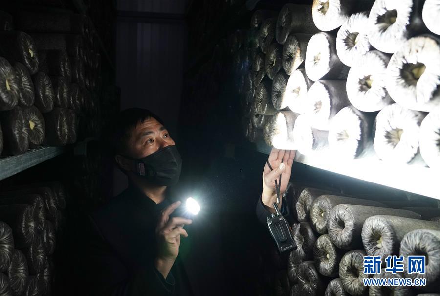 （決戰(zhàn)決勝脫貧攻堅(jiān)&middot;圖文互動(dòng)）（4）秦巴山區(qū)：戰(zhàn)疫戰(zhàn)貧，兩場(chǎng)仗都要打贏