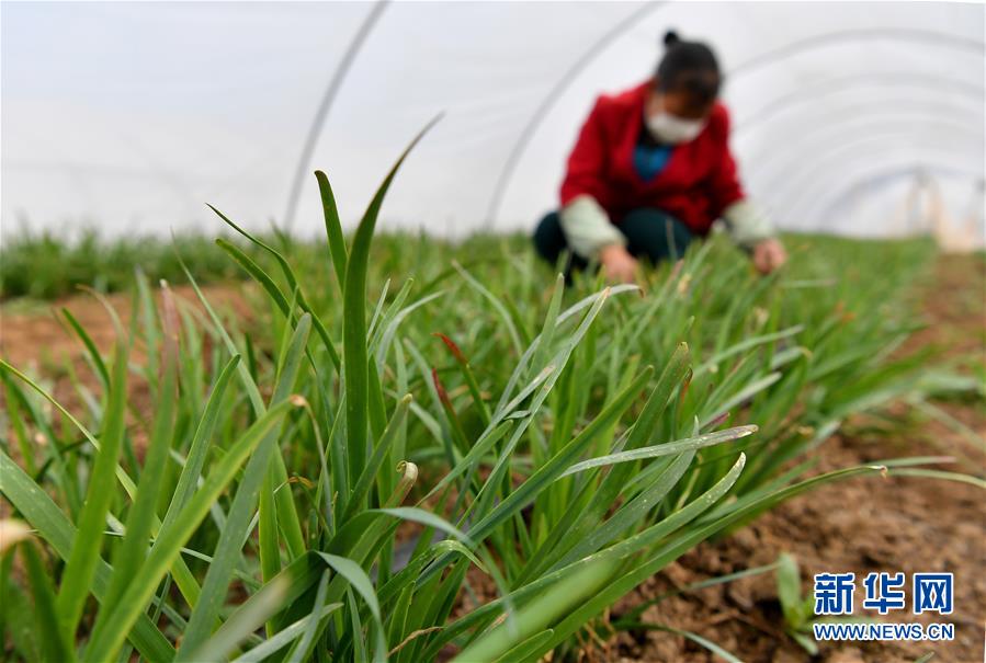 （圖文互動）（3）&ldquo;春天到了，熟悉的生活正在慢慢回來&rdquo;&mdash;&mdash;陜西多地復(fù)產(chǎn)復(fù)工一線見聞