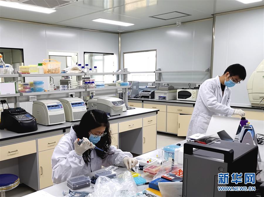 (在習近平新時代中國特色社會主義思想指引下——新時代新作為新篇章·習近平總書記關切事·圖文互動)(5)高擎利劍驅疫魔——科研攻關助力湖北戰(zhàn)“疫”記