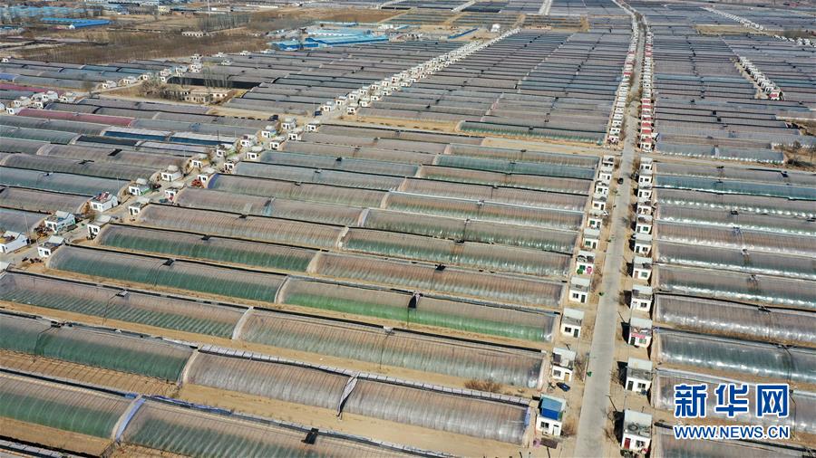 （在習(xí)近平新時(shí)代中國特色社會(huì)主義思想指引下&mdash;&mdash;新時(shí)代新作為新篇章&middot;習(xí)近平總書記關(guān)切事&middot;圖文互動(dòng)）（4）戰(zhàn)&ldquo;疫&rdquo;戰(zhàn)&ldquo;貧&rdquo;都要贏&mdash;&mdash;脫貧攻堅(jiān)一線打響兩場硬仗