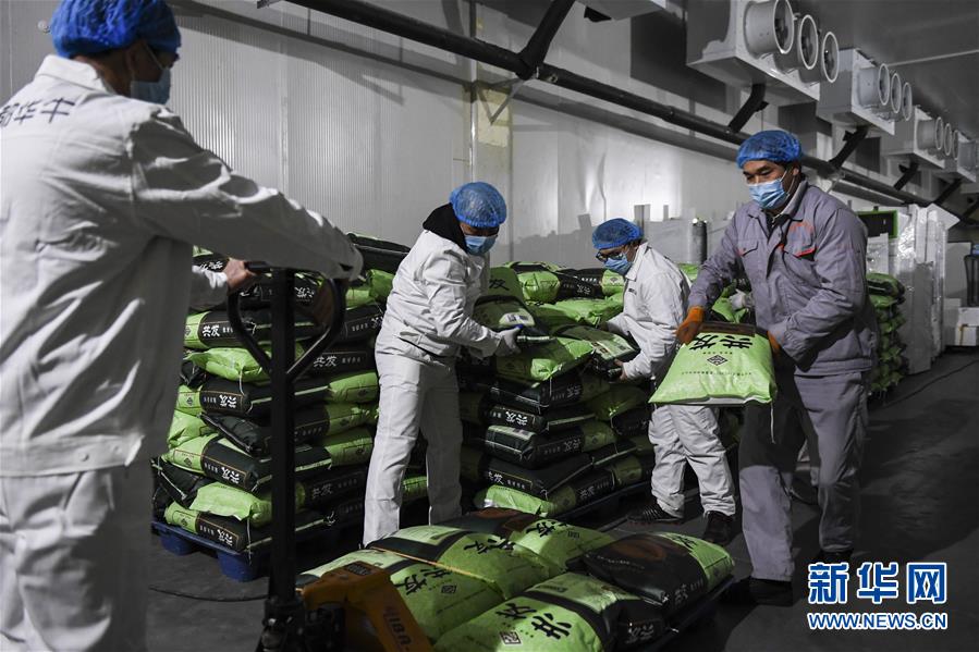 （抓好經濟發(fā)展 應對復雜局面&middot;圖文互動）（1）&ldquo;一企一策&rdquo;解難題 大項目按下&ldquo;加速器&rdquo;&mdash;&mdash;廣西精準有序推動項目開工復工