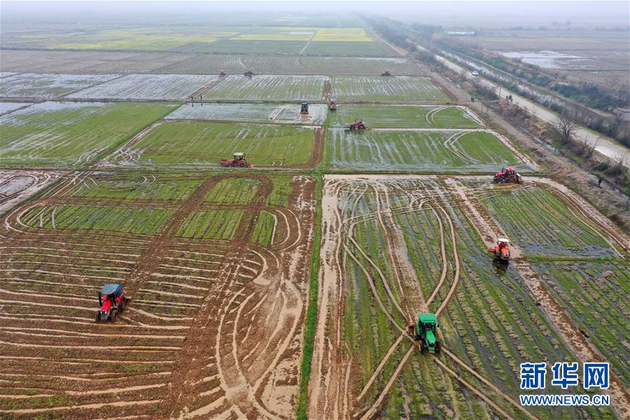 （抓好春耕備耕 穩(wěn)住農(nóng)業(yè)生產(chǎn)&middot;圖文互動(dòng)）（2）智能農(nóng)機(jī)、&ldquo;訂單&rdquo;服務(wù)、&ldquo;云端&rdquo;種菜&mdash;&mdash;來(lái)自江西的春耕&ldquo;新事&rdquo;