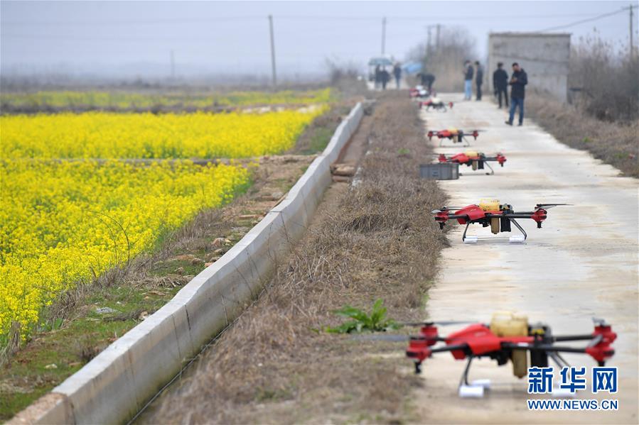 （抓好春耕備耕 穩(wěn)住農(nóng)業(yè)生產(chǎn)&middot;圖文互動(dòng)）（4）智能農(nóng)機(jī)、&ldquo;訂單&rdquo;服務(wù)、&ldquo;云端&rdquo;種菜&mdash;&mdash;來(lái)自江西的春耕&ldquo;新事&rdquo;