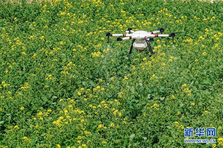 （在習近平新時代中國特色社會主義思想指引下&mdash;&mdash;新時代新作為新篇章&middot;習近平總書記關切事&middot;圖文互動）（17）精準發(fā)力抓統(tǒng)籌&mdash;&mdash;各地落實&ldquo;分區(qū)分級&rdquo;有序恢復生產生活