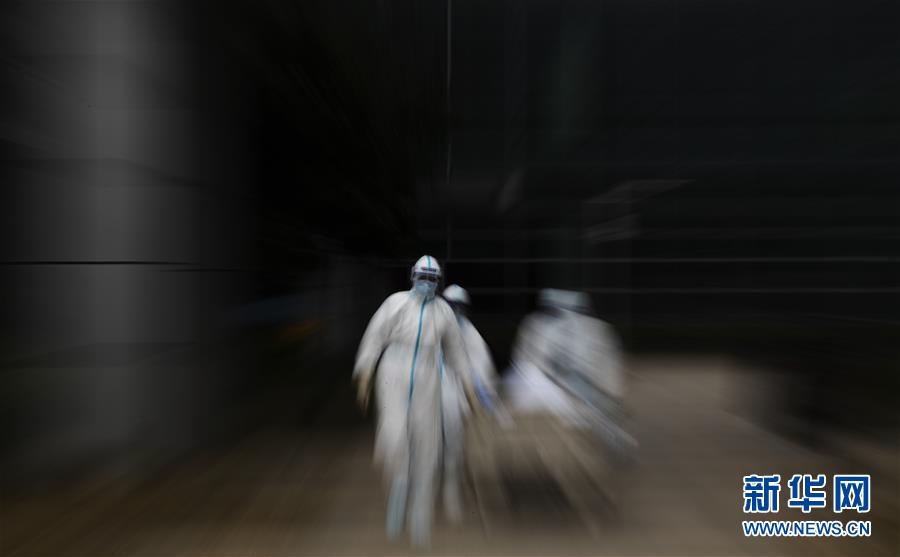 （聚焦疫情防控&middot;圖文互動）（13）這個春天，期待已久