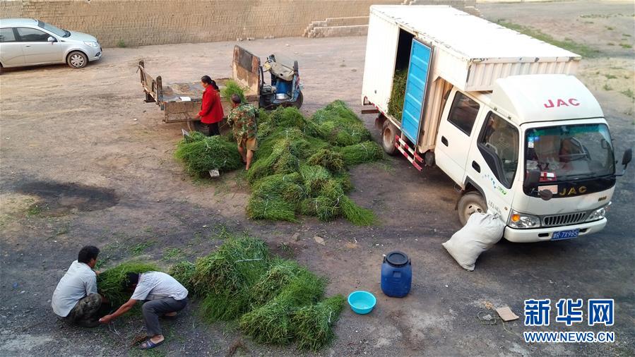 (決戰(zhàn)決勝脫貧攻堅(jiān)·圖文互動(dòng))(2)三訪長(zhǎng)征村