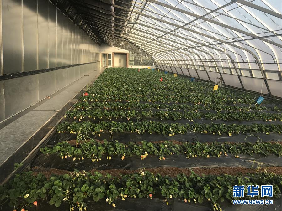 （圖文互動）（2）產(chǎn)業(yè)變綠 石墨變金 環(huán)境變美&mdash;&mdash;&ldquo;煤城&rdquo;三變孕育春的生機(jī)