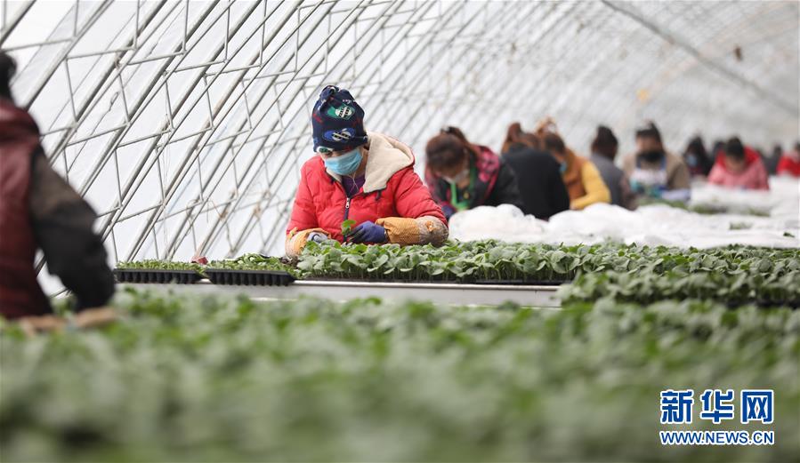 （新華全媒頭條&middot;圖文互動(dòng)）（3）春色最濃在田間&mdash;&mdash;來(lái)自全國(guó)春耕備耕的現(xiàn)場(chǎng)觀察