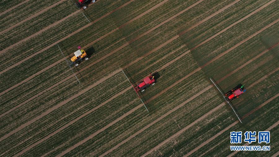 （新華全媒頭條&middot;圖文互動(dòng)）（5）春色最濃在田間&mdash;&mdash;來(lái)自全國(guó)春耕備耕的現(xiàn)場(chǎng)觀察