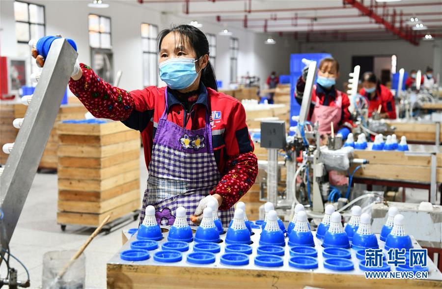 (決戰(zhàn)決勝脫貧攻堅·圖文互動)(6)天然“寶貝”促增收——貴州錦屏縣培育扶貧產(chǎn)業(yè)見聞