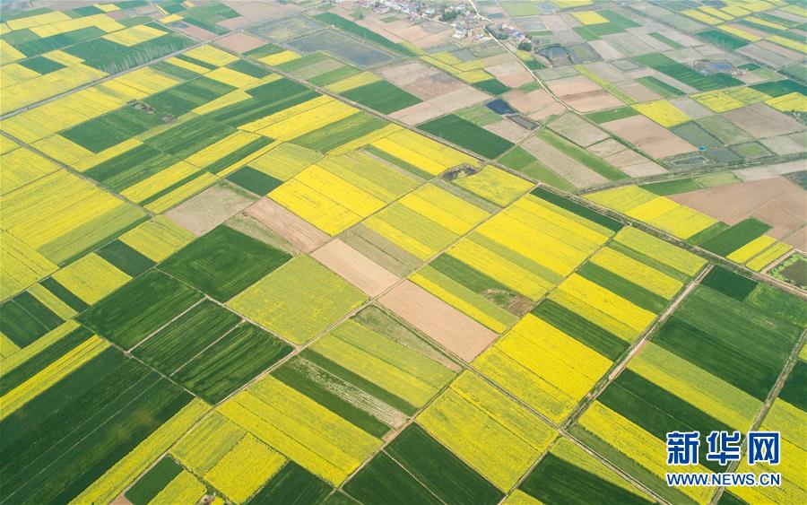 (新華全媒頭條·圖文互動)(6)在艱難中重啟 在陣痛中復(fù)蘇——湖北推動安全有序復(fù)工復(fù)產(chǎn)掃描