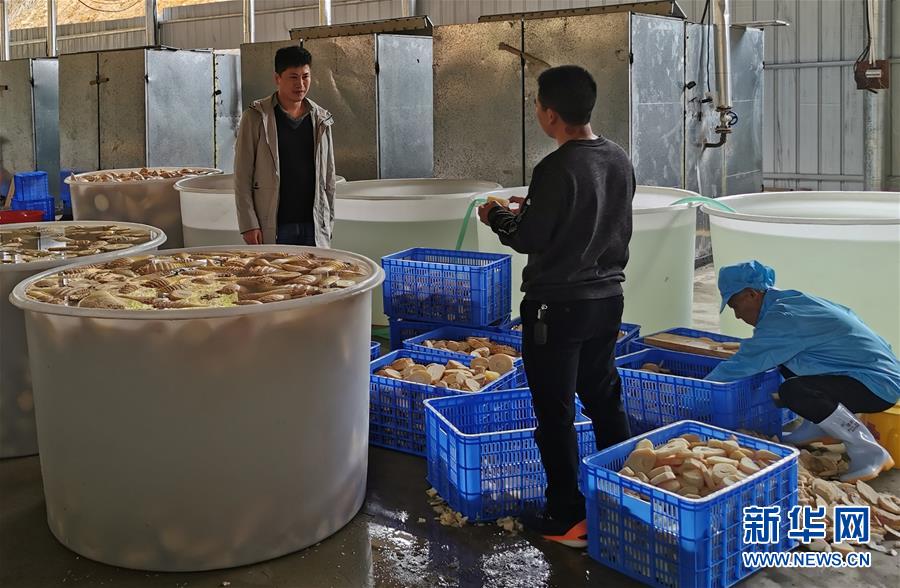 （決戰(zhàn)決勝脫貧攻堅&middot;圖文互動）掛牌督戰(zhàn)，一個都不能少&mdash;&mdash;江西確保剩余9.6萬貧困人口全部脫貧