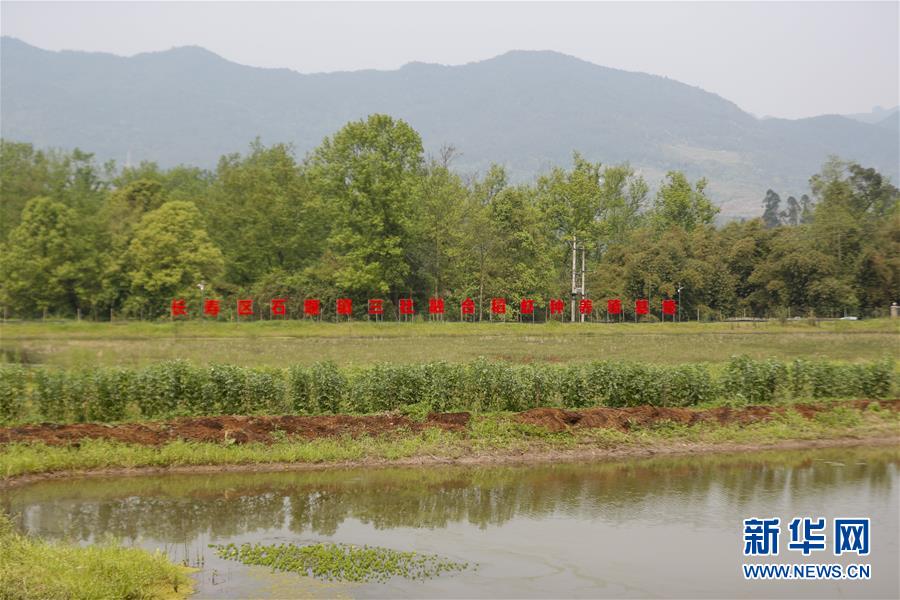 (圖文互動(dòng))(2)疏通產(chǎn)業(yè)鏈堵點(diǎn) 保障“菜籃子”供應(yīng)——重慶養(yǎng)殖大區(qū)力促養(yǎng)殖業(yè)補(bǔ)損復(fù)產(chǎn)