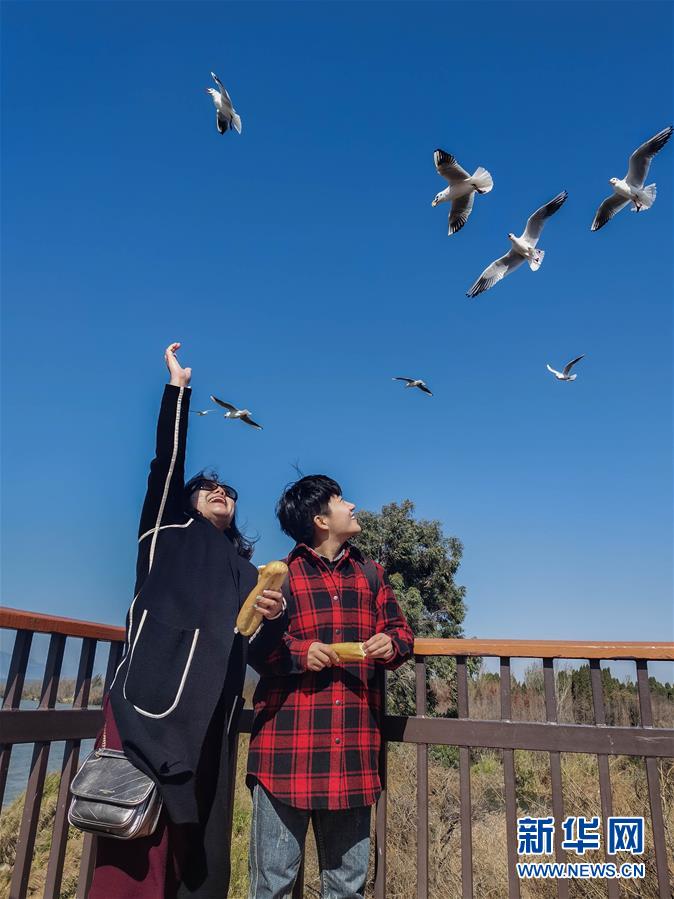 （一線抗疫群英譜&middot;圖文互動(dòng)）（1）大學(xué)生志愿者譚藝西：在武漢，我和媽媽共戰(zhàn)&ldquo;疫&rdquo;