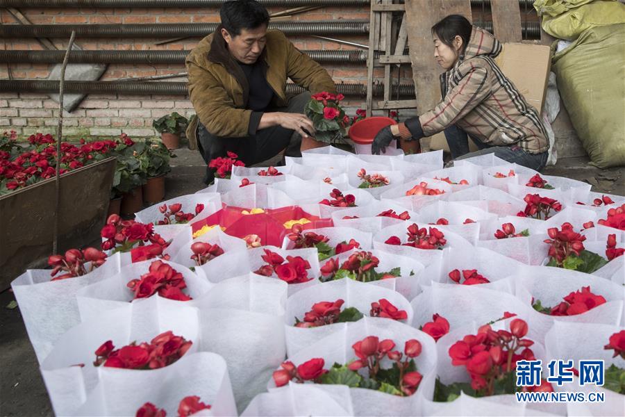 （在習(xí)近平新時(shí)代中國特色社會(huì)主義思想指引下&mdash;&mdash;新時(shí)代新作為新篇章&middot;習(xí)近平總書記關(guān)切事&middot;圖文互動(dòng)）（1）希望的田野，希望的春天&mdash;&mdash;各地農(nóng)業(yè)生產(chǎn)新動(dòng)態(tài)掃描