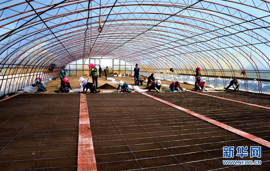 （在習(xí)近平新時(shí)代中國特色社會(huì)主義思想指引下&mdash;&mdash;新時(shí)代新作為新篇章&middot;習(xí)近平總書記關(guān)切事&middot;圖文互動(dòng)）（5）希望的田野，希望的春天&mdash;&mdash;各地農(nóng)業(yè)生產(chǎn)新動(dòng)態(tài)掃描