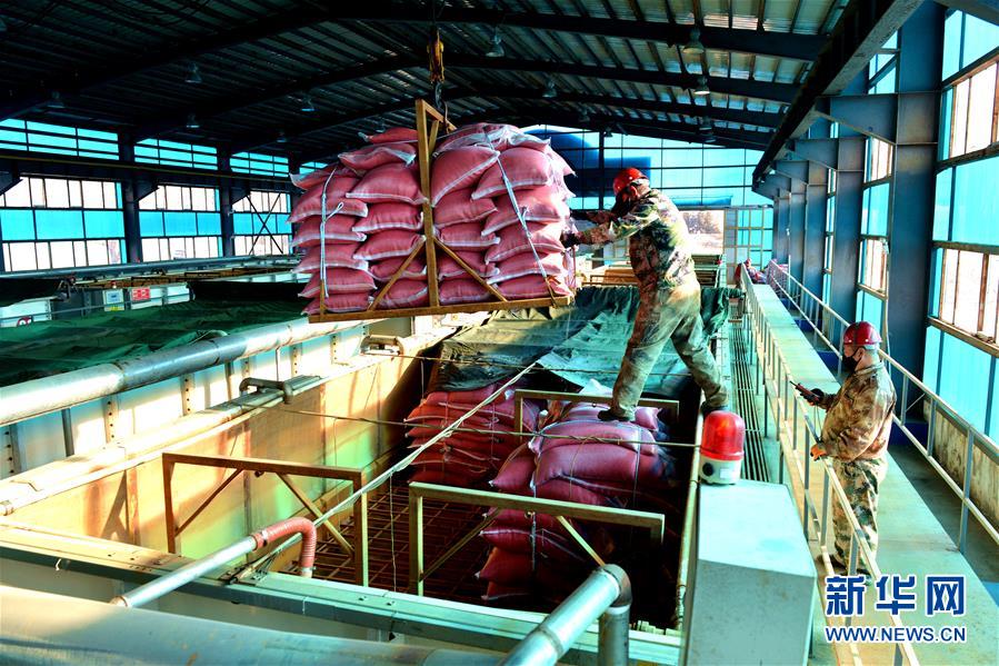 （在習(xí)近平新時(shí)代中國特色社會(huì)主義思想指引下&mdash;&mdash;新時(shí)代新作為新篇章&middot;習(xí)近平總書記關(guān)切事&middot;圖文互動(dòng)）（6）希望的田野，希望的春天&mdash;&mdash;各地農(nóng)業(yè)生產(chǎn)新動(dòng)態(tài)掃描