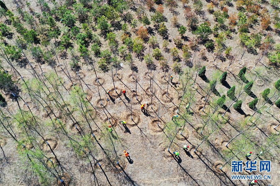 (新華全媒頭條·圖文互動(dòng))(5)雄安畫(huà)卷徐徐鋪展 “未來(lái)之城”蓄勢(shì)待發(fā)——雄安新區(qū)設(shè)立三周年巡禮