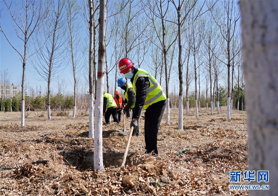 (新華全媒頭條·圖文互動(dòng))(8)雄安畫(huà)卷徐徐鋪展 “未來(lái)之城”蓄勢(shì)待發(fā)——雄安新區(qū)設(shè)立三周年巡禮