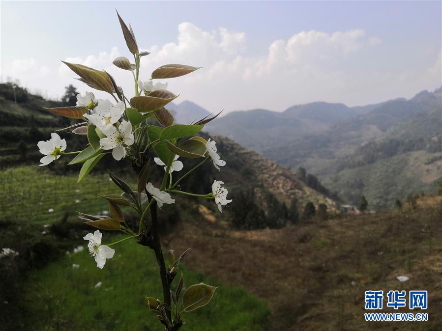 （決戰(zhàn)決勝脫貧攻堅(jiān)&middot;圖文互動）（1）寄相思，償夙愿&mdash;&mdash;5封清明&ldquo;家書&rdquo;里的決戰(zhàn)決勝信念