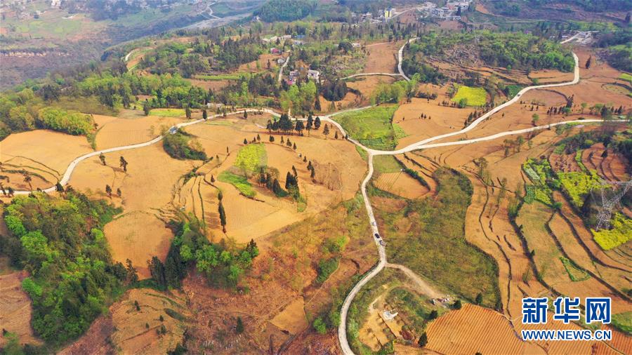 （決戰(zhàn)決勝脫貧攻堅(jiān)&middot;圖文互動）（2）寄相思，償夙愿&mdash;&mdash;5封清明&ldquo;家書&rdquo;里的決戰(zhàn)決勝信念