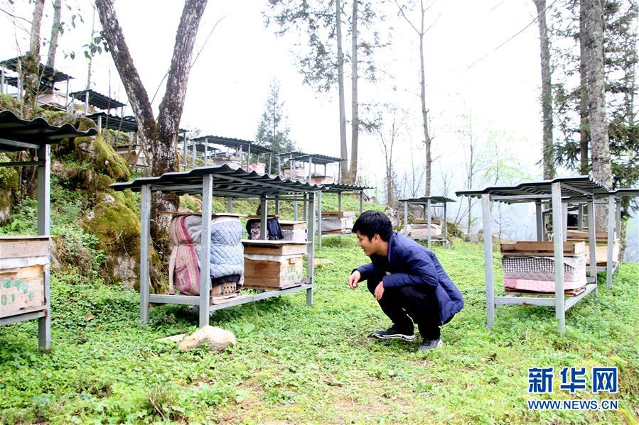 （決戰(zhàn)決勝脫貧攻堅(jiān)&middot;圖文互動）（3）寄相思，償夙愿&mdash;&mdash;5封清明&ldquo;家書&rdquo;里的決戰(zhàn)決勝信念