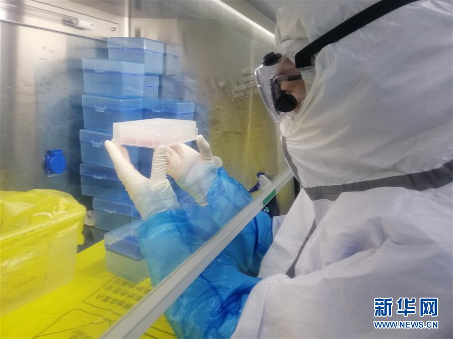 （一線抗疫群英譜&middot;圖文互動）（2）&ldquo;95后&rdquo;大學(xué)生郝鶯歌：退掉車票，她選擇直面病毒