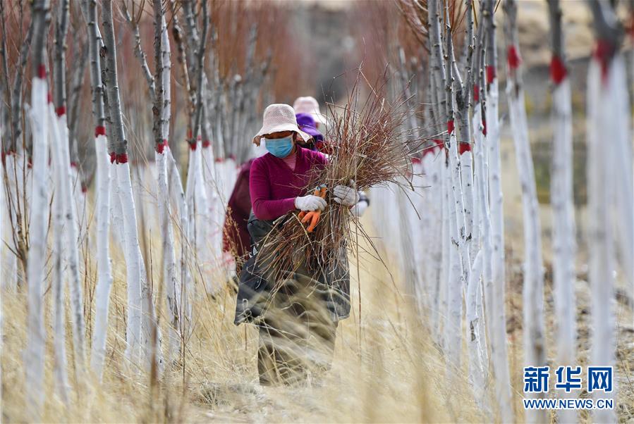 (新華全媒頭條·圖文互動(dòng))(14)三江之源見證中國奇跡——寫在玉樹地震10周年之際