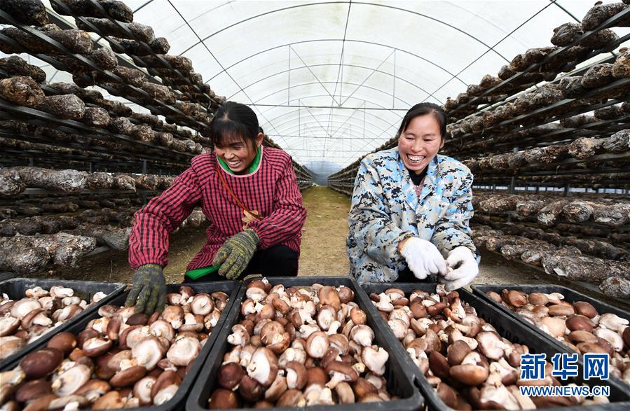 (決戰(zhàn)決勝脫貧攻堅(jiān)·圖文互動)(1)多重保障 不漏一人——貴州一個(gè)脫貧“摘帽”縣的防貧機(jī)制探索