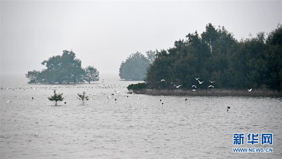 （新華全媒頭條&middot;圖文互動(dòng)）（5）為有源頭清水來(lái)&mdash;&mdash;深圳&ldquo;馴水記&rdquo;