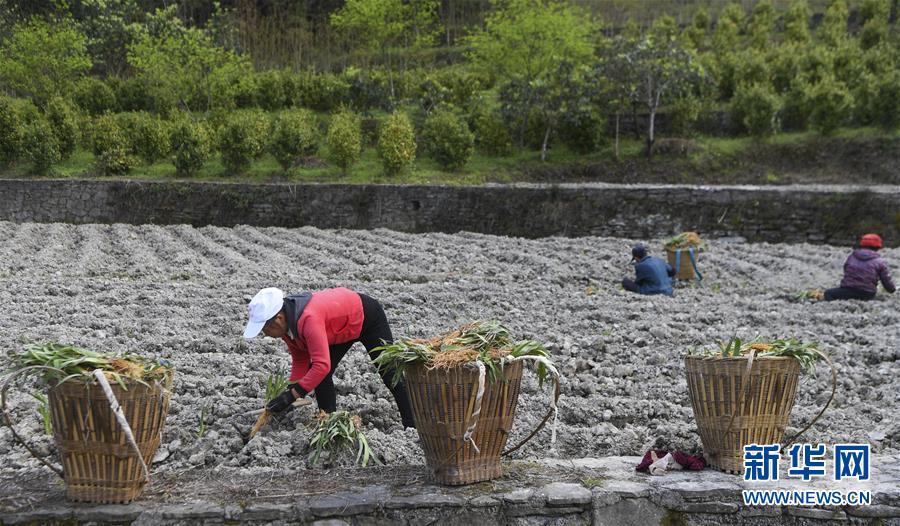 （圖文互動(dòng)）（7）&ldquo;消失&rdquo;的小南海