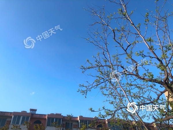 陣風8級！北京遭遇雨后大降溫 北風勁吹需添衣