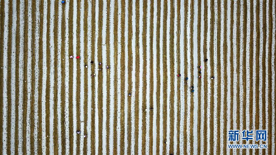 （在習近平新時代中國特色社會主義思想指引下&mdash;&mdash;新時代新作為新篇章&middot;習近平總書記關切事&middot;圖文互動）（6）啃下最后的硬骨頭&mdash;&mdash;脫貧攻堅掛牌督戰(zhàn)進行時