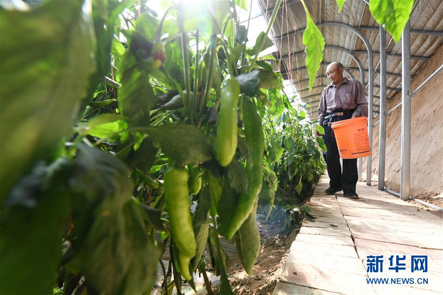 （新華全媒頭條&middot;圖文互動(dòng)）（15）春天里的5個(gè)&ldquo;戰(zhàn)貧&rdquo;瞬間&mdash;&mdash;習(xí)近平總書記關(guān)于脫貧攻堅(jiān)決策部署指引攻克最后的深貧堡壘