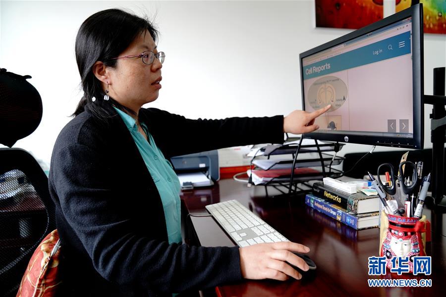 （圖文互動）（1）攻擊行為如何被大腦控制？科學(xué)家在小鼠大腦中發(fā)現(xiàn)&ldquo;調(diào)節(jié)開關(guān)&rdquo;