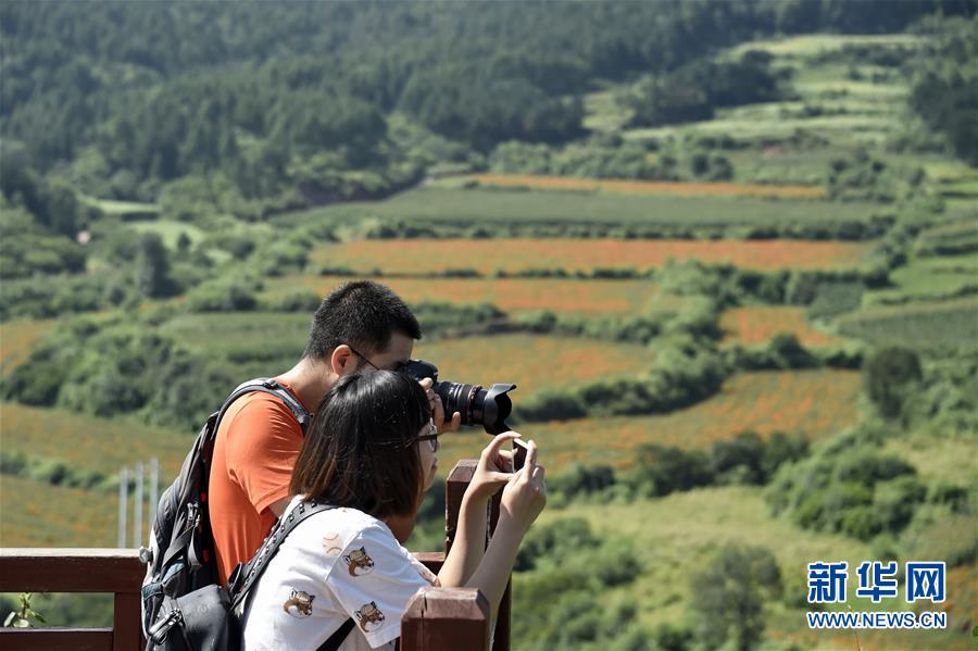 （圖文互動）（1）這座小城，鐫刻下怎樣的&ldquo;世園印記&rdquo;&mdash;&mdash;北京世園會開園一周年探訪延慶