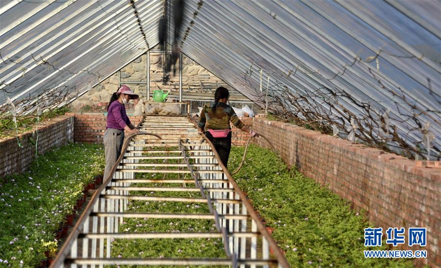 （圖文互動）（2）這座小城，鐫刻下怎樣的&ldquo;世園印記&rdquo;&mdash;&mdash;北京世園會開園一周年探訪延慶