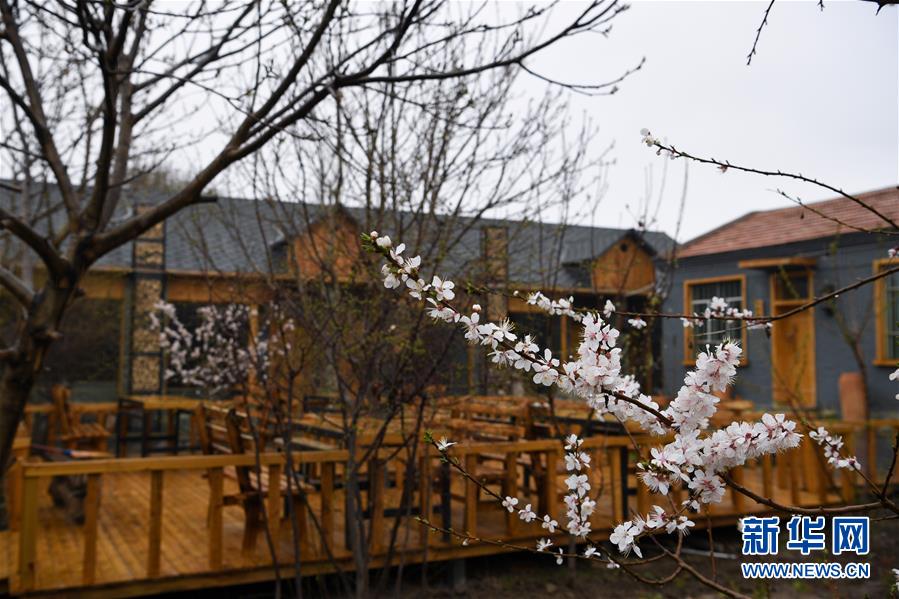 （圖文互動(dòng)）（6）&ldquo;疫&rdquo;去客來會(huì)有時(shí)&mdash;&mdash;新疆伊犁河谷旅游市場漸暖見聞