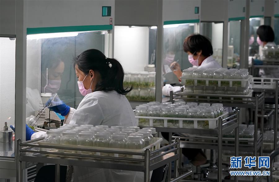 （來自一線的調(diào)查報告&middot;圖文互動）（6）搶出一個身位謀發(fā)展&mdash;&mdash;河南許昌經(jīng)濟復(fù)蘇見聞