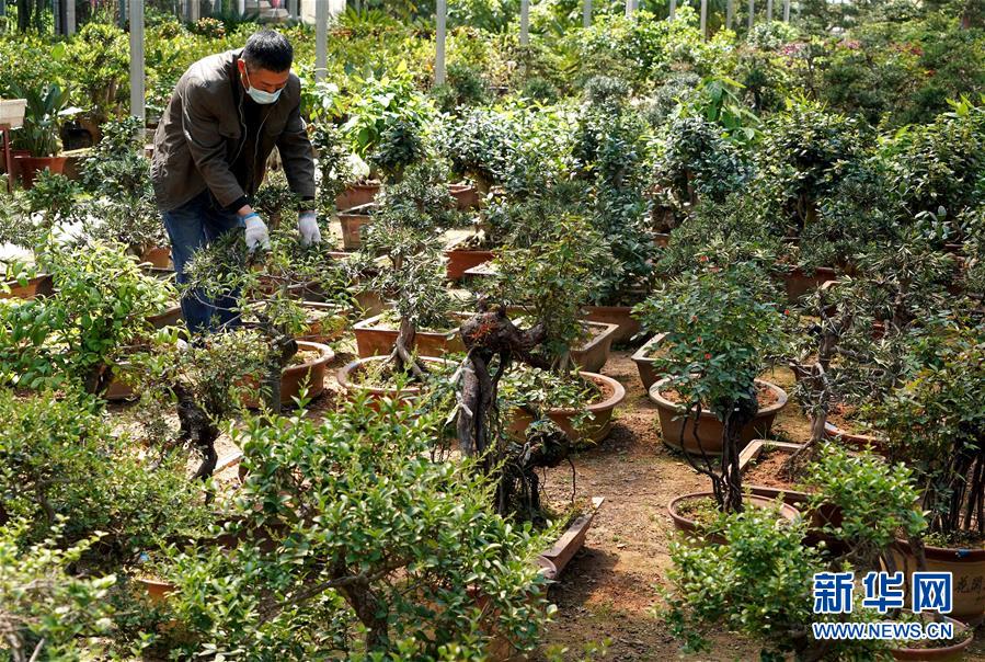 （來自一線的調(diào)查報告&middot;圖文互動）（7）搶出一個身位謀發(fā)展&mdash;&mdash;河南許昌經(jīng)濟復(fù)蘇見聞