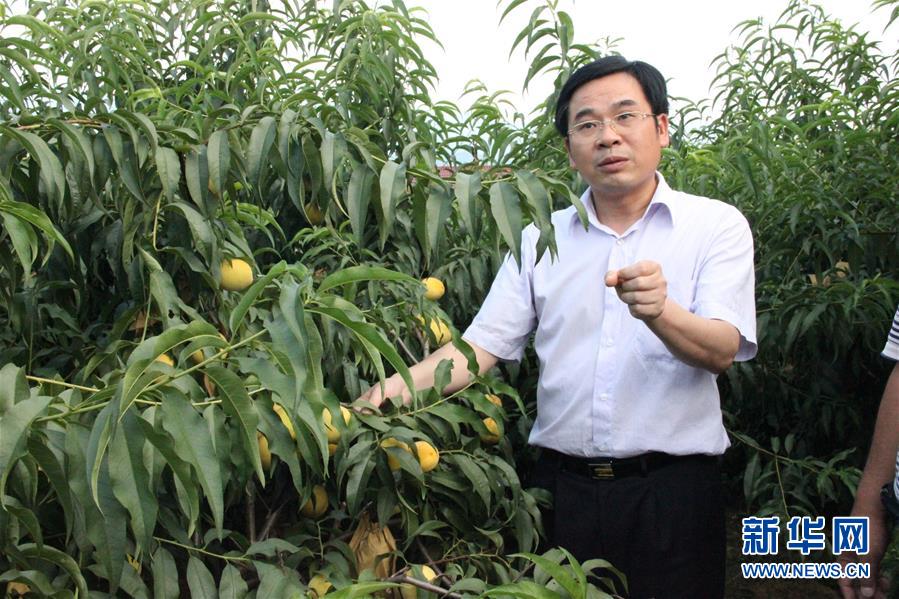 （圖文互動(dòng)）（2）&ldquo;為脫貧而來，為脫貧而去&rdquo;&mdash;&mdash;追記湖南炎陵縣委原書記黃詩燕 