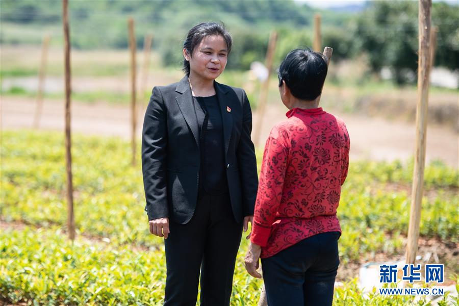 (圖文互動(dòng))(4)扶貧干部唐華容:治疾病也治“窮病”