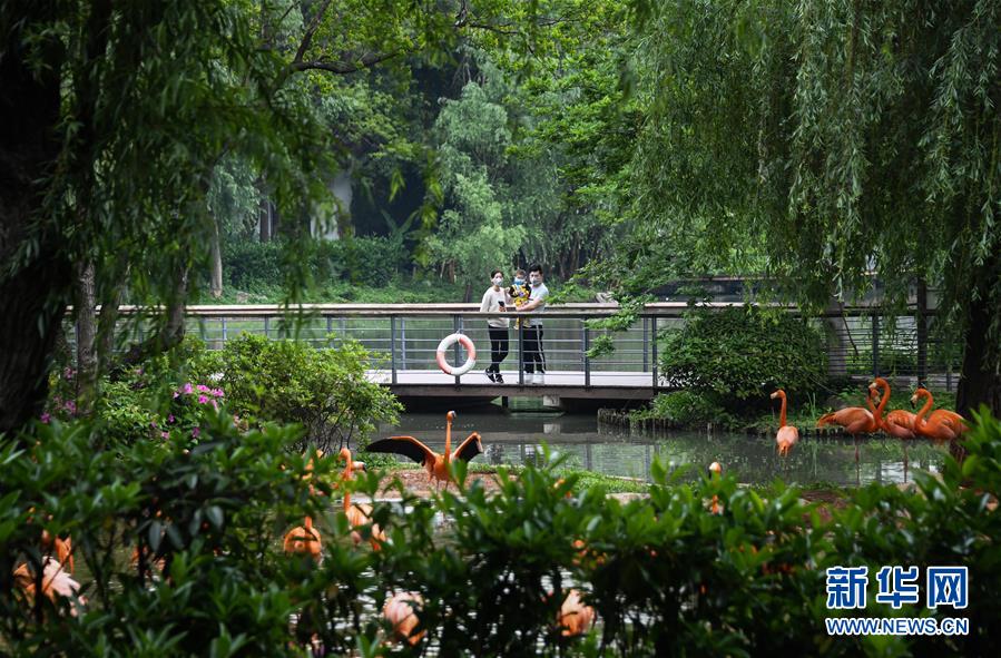 （在習(xí)近平新時代中國特色社會主義思想指引下&mdash;&mdash;新時代新作為新篇章&middot;習(xí)近平總書記關(guān)切事&middot;圖文互動）（8）疫情防控不減壓　復(fù)工復(fù)產(chǎn)正加速&mdash;&mdash;武漢&ldquo;解封&rdquo;滿月觀察