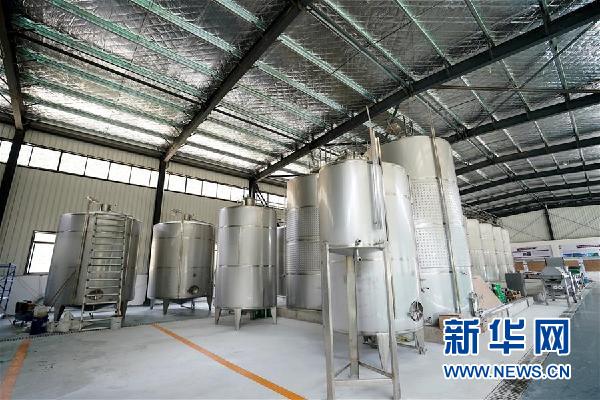 （決戰(zhàn)決勝脫貧攻堅&middot;圖文互動）（5）西藏昌都&ldquo;甜蜜&rdquo;產業(yè)助脫貧