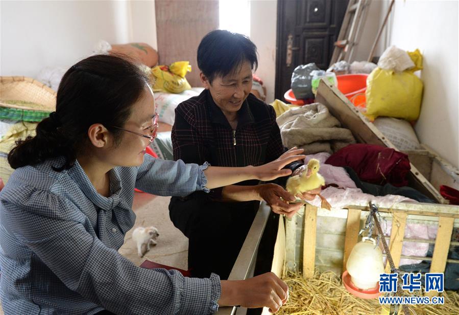 (代表委員履職)(2)全國人大代表王萌萌:產業(yè)興旺讓鄉(xiāng)村振興更有底氣