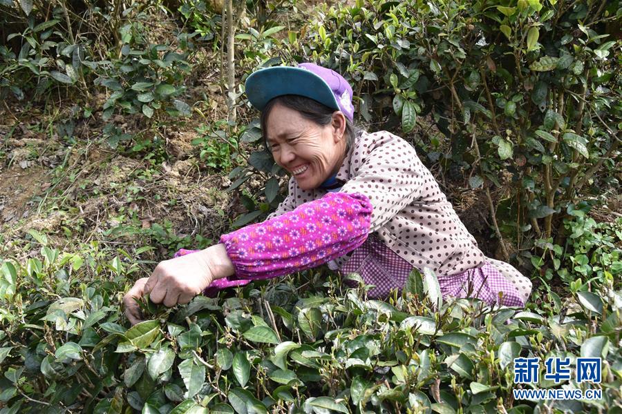 （圖片互動）（1）再訪貴州極貧鄉(xiāng)鎮(zhèn)看&ldquo;四變&rdquo;