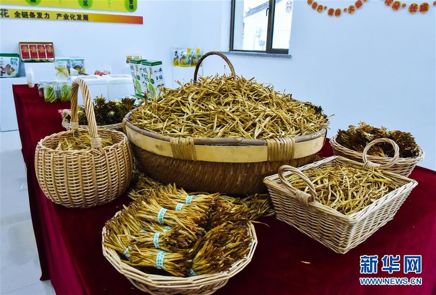 （新華全媒頭條&middot;圖文互動）（3）初夏，循著總書記的腳步探訪產(chǎn)業(yè)扶貧新事