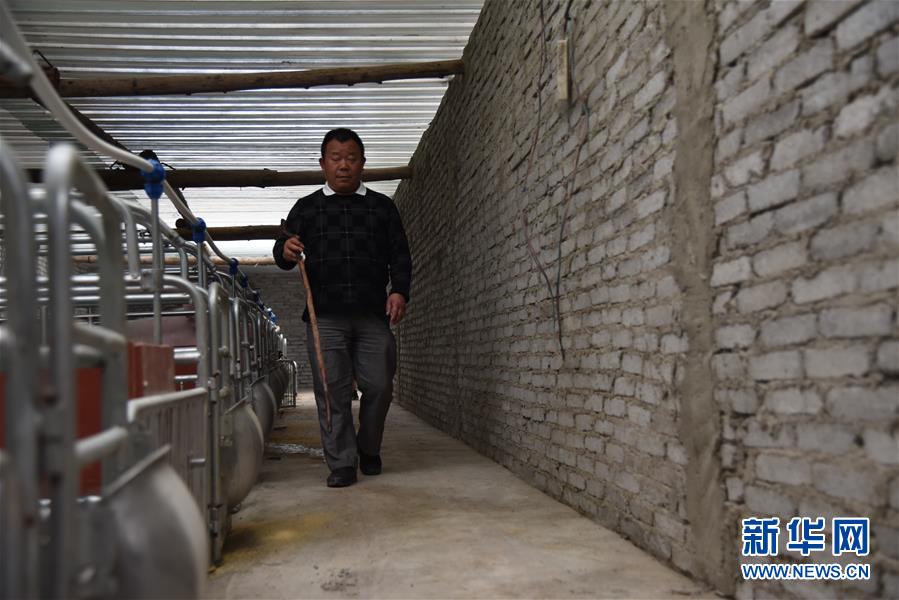 （新華全媒頭條&middot;圖文互動）（6）刺梨花開滿山紅&mdash;&mdash;記在貴州脫貧攻堅一線奮斗的殘疾人